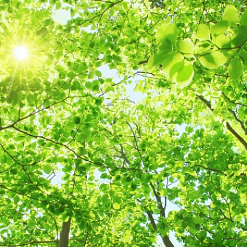 頭皮をほぐしてリフレッシュ☆|祐天寺・中目黒で人気の美容院 hairspa PAZ ~ ヘアースパ パズ ~