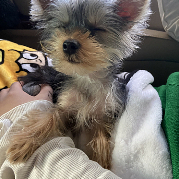 晴れの国岡山に帰りました☆|祐天寺・中目黒で人気の美容院 hairspa PAZ ~ ヘアースパ パズ ~