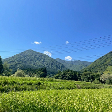 夏休暇、新潟に行ってきました!祐天寺・学芸大学で人気美容院・美容室 hairspaPAZ ~ ヘアースパ パズ