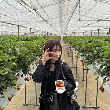 お休みを頂いた際にいちご狩りへ行ってきました♪祐天寺・学芸大学の人気美容室・美容院 hairspa PAZ ~ ヘアースパ パズ ~の口コミ 口コミ一覧URL : https://cs.appnt.m